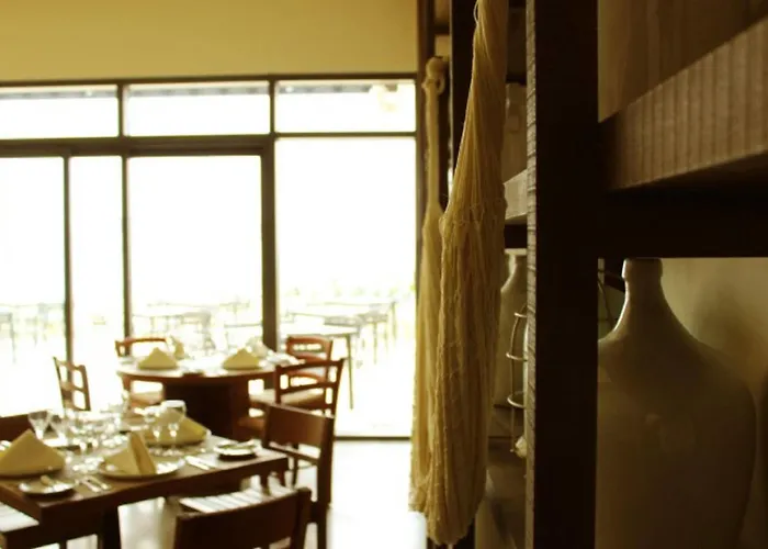 Breathless - Adults Only 5* Cabo San Lucas